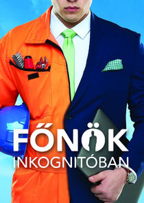 Főnök inkognitóban poster