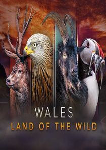Wales: Land of the Wild poster