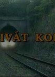 Privát kopó poster