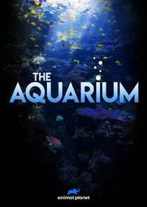 The Aquarium poster