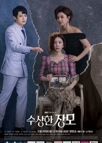 Shady Mom-in-Law poster