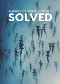 Nature's Strangest Mysteries: Solved poster