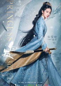 Princess Silver poster