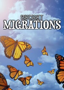 Secret Migrations poster