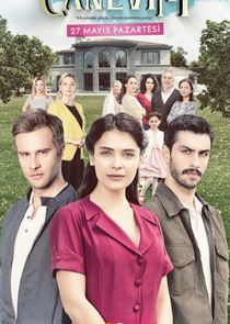 Canevim poster