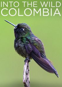 Into the Wild Colombia poster