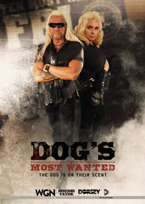Dog's Most Wanted poster