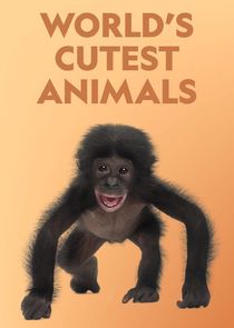World's Cutest Animals poster
