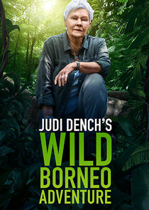 Judi Dench's Wild Borneo Adventure poster
