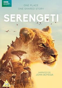 Serengeti poster