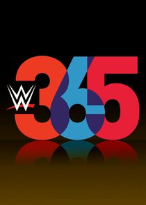 WWE 365 poster