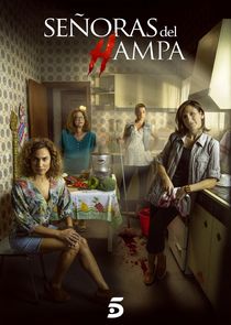 Señoras del (h)AMPA poster