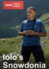 Iolos Snowdonia poster