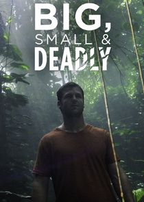 Big, Small & Deadly poster