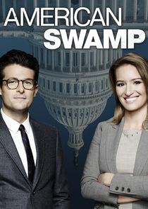 American Swamp poster