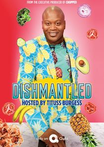 Dishmantled poster