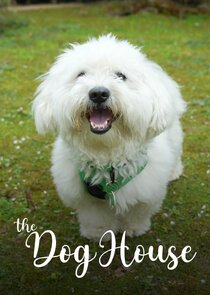The Dog House poster