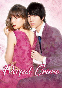 Perfect Crime poster