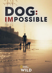 Dog: Impossible poster