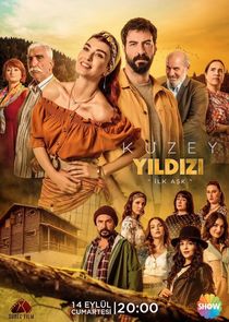 Kuzey Yildizi poster