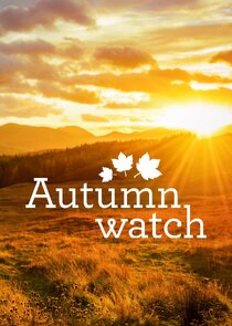 Autumnwatch poster
