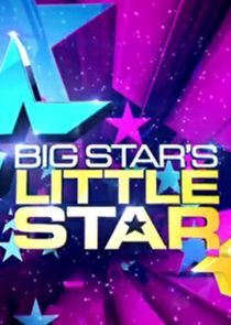 Big Star's Little Star poster