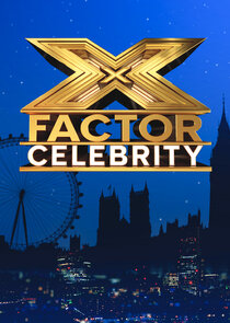 The X Factor: Celebrity poster