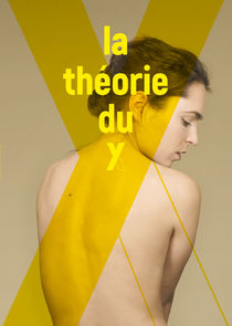La Théorie du Y poster
