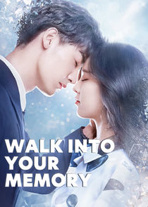 Walk Into Your Memory poster