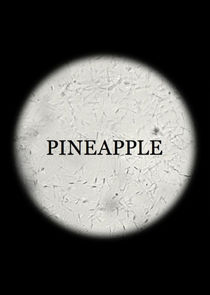 Pineapple poster