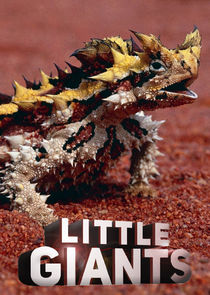 Little Giants poster