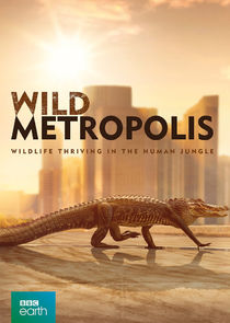 Wild Metropolis poster