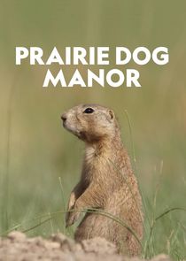 Prairie Dog Manor poster