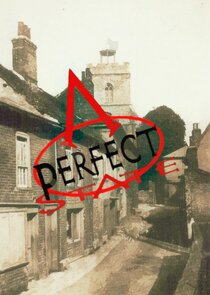 A Perfect State poster