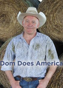 Dom Does America poster