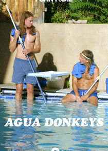 Agua Donkeys poster