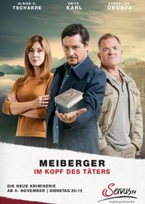 Meiberger - Im Kopf des Täters poster