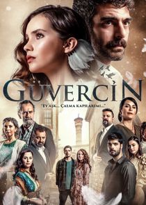 Güvercin poster