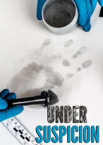Under Suspicion poster