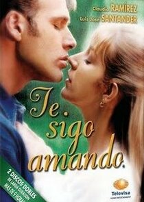 Te sigo amando poster