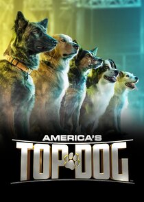 America's Top Dog poster