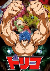 Toriko poster