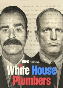White House Plumbers poster