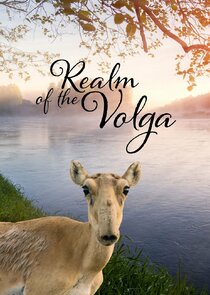 Realm of the Volga poster