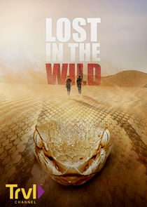 Lost in the Wild poster