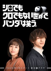 Panda Judges the World poster