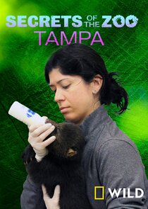 Secrets of the Zoo: Tampa poster
