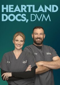 Heartland Docs, DVM poster
