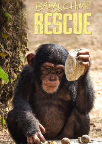 Baby Chimp Rescue poster