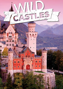 Wild Castles poster